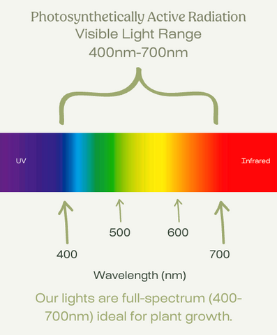Do grow lights help with SAD? Learn how to use artificial light to effectively treat the symptoms of seasonal affective disorder!