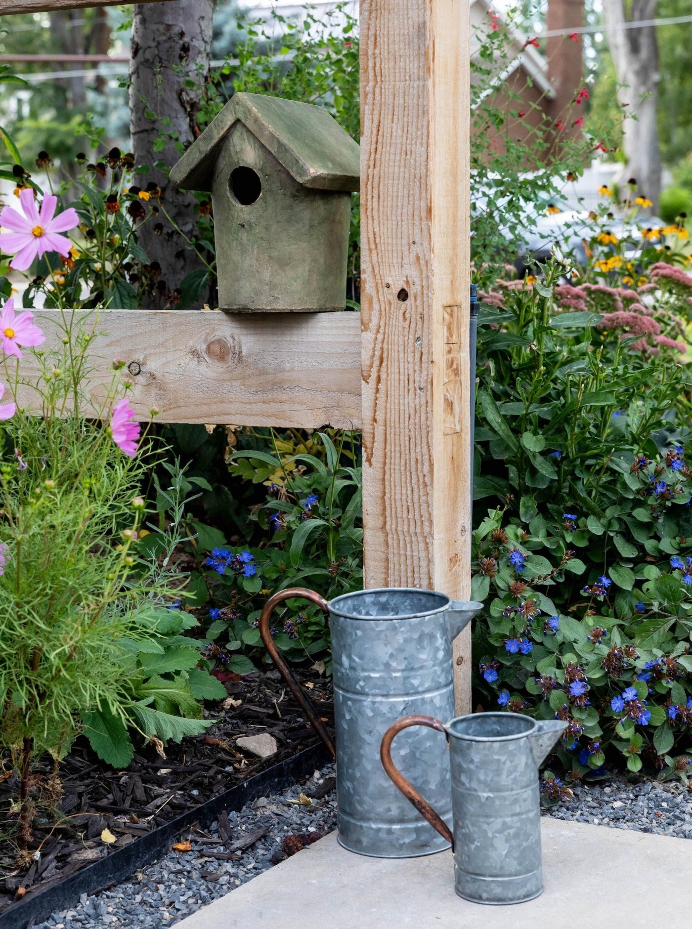 Tin Watering Can: Everything You Need to Know & Where to Find One