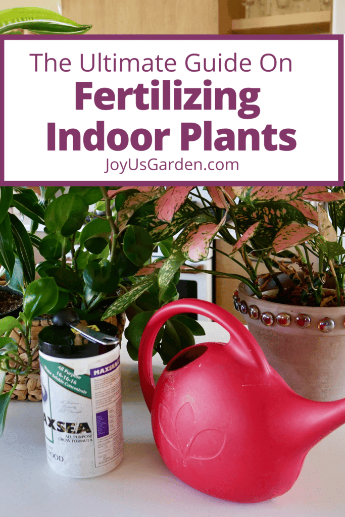 Flower Fertilizer Spray: The Best Way to Feed Your Plants (Easy Guide)