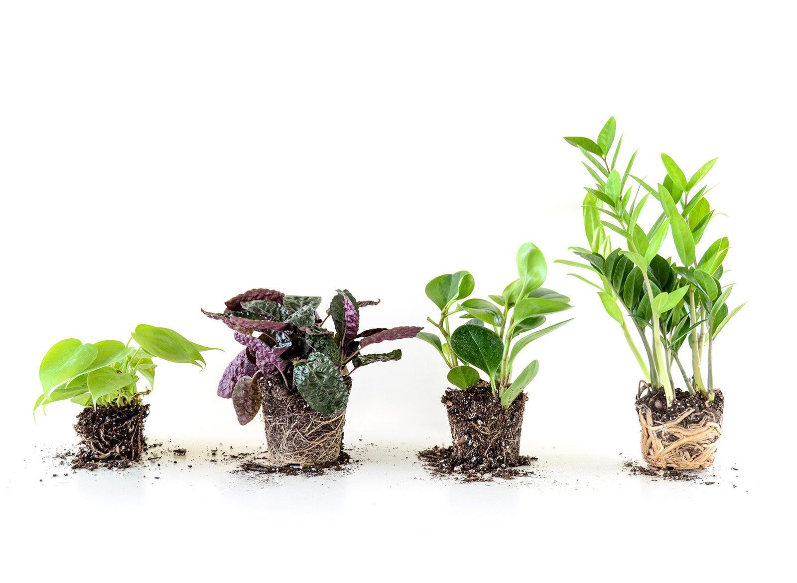 Need a Plant Repotting Mat? Heres Why You Should Get One!