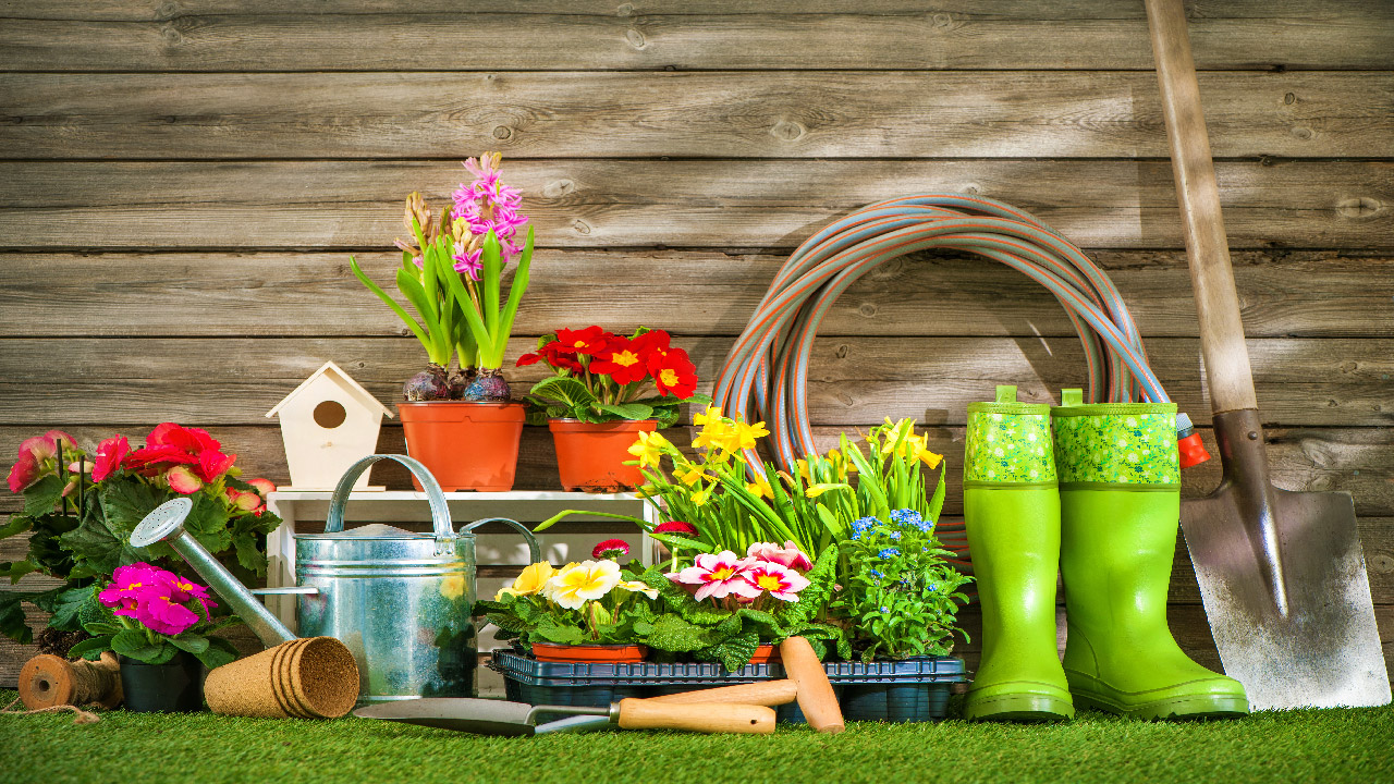 Must-Have Tools for Raised Bed Gardening: The Ultimate Guide to Get You Growing!