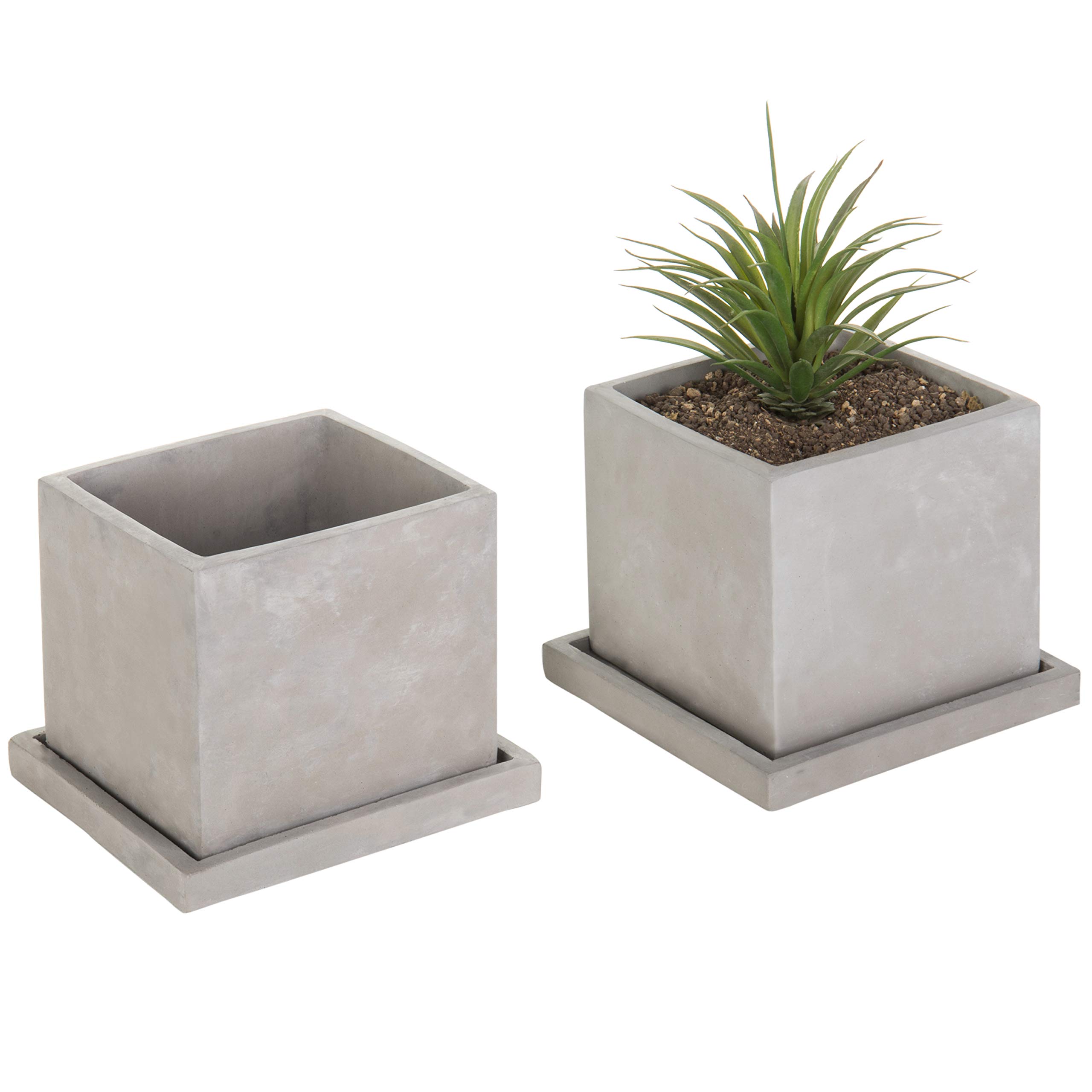 Affordable Concrete Flowerpot Where to Buy Them Online Now