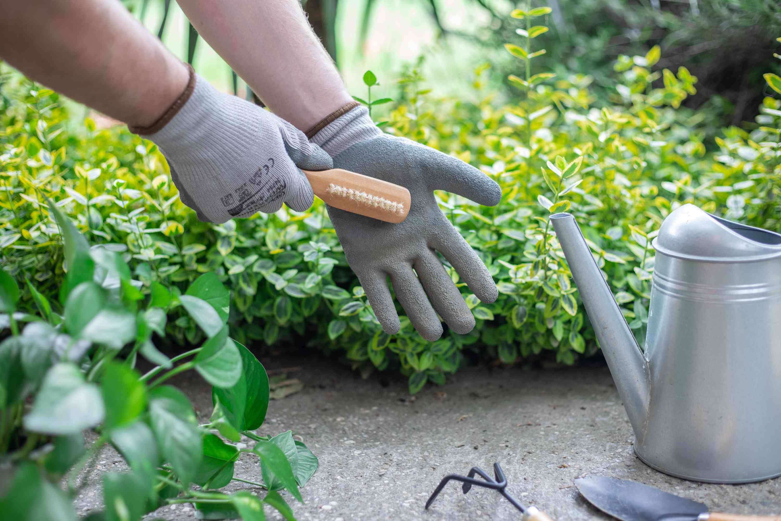 Can you wash gardening gloves? Easy guide to cleaning your gardening gloves.