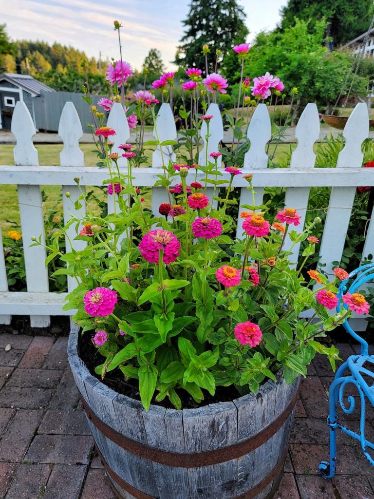 Planting Flowers for Zone 4: What to Grow? (Simple Tips for a Flourishing, Long Lasting Garden)