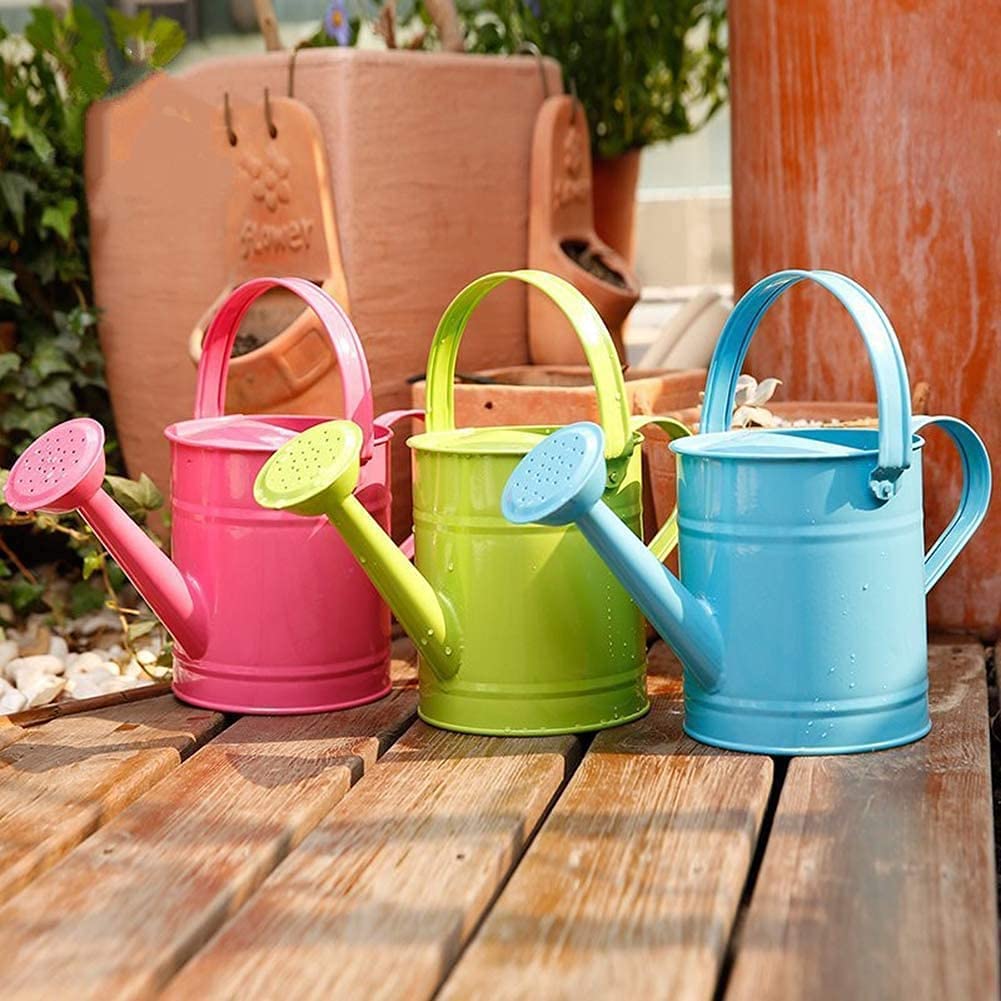 Need Colorful Watering Cans? Check These Out!