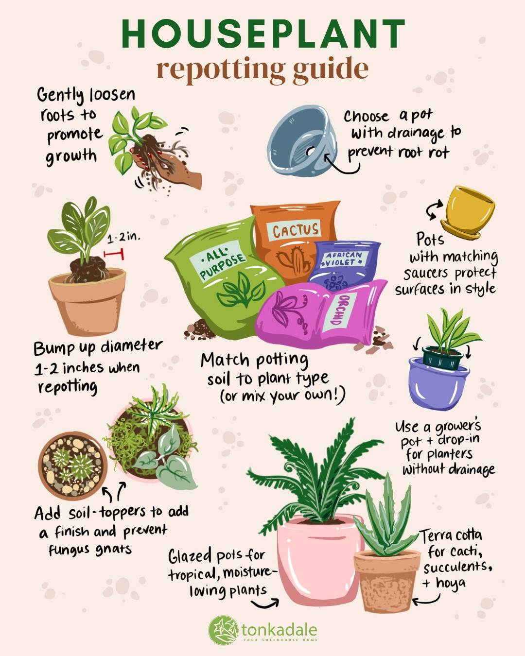 Plant Repotting Service Near Me How to Choose