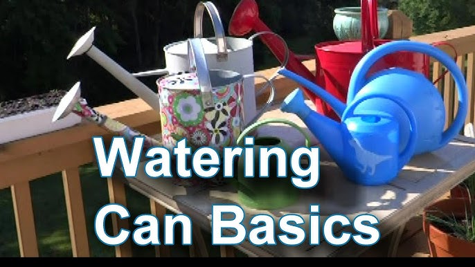 How to use a watering can flower pot? Check out this easy guide for beginners.