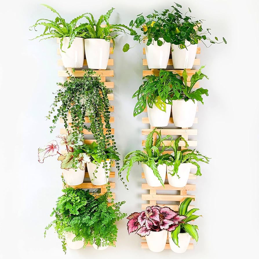 Cheap Wall Plant Stands Youll Love (Where to Find Affordable Options)