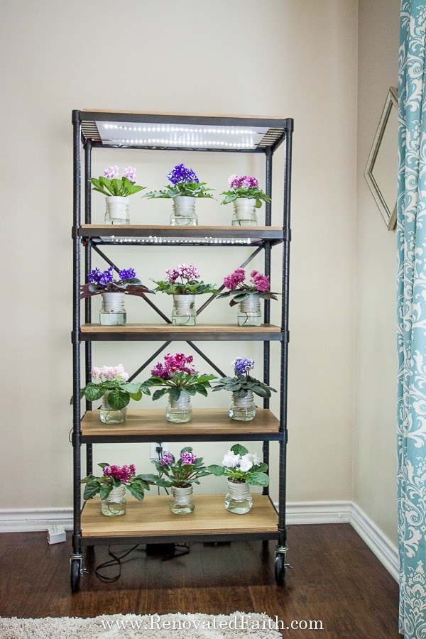 DIY Grow Light Stands for Indoor Plants: Creative Ideas & Easy Tutorials!