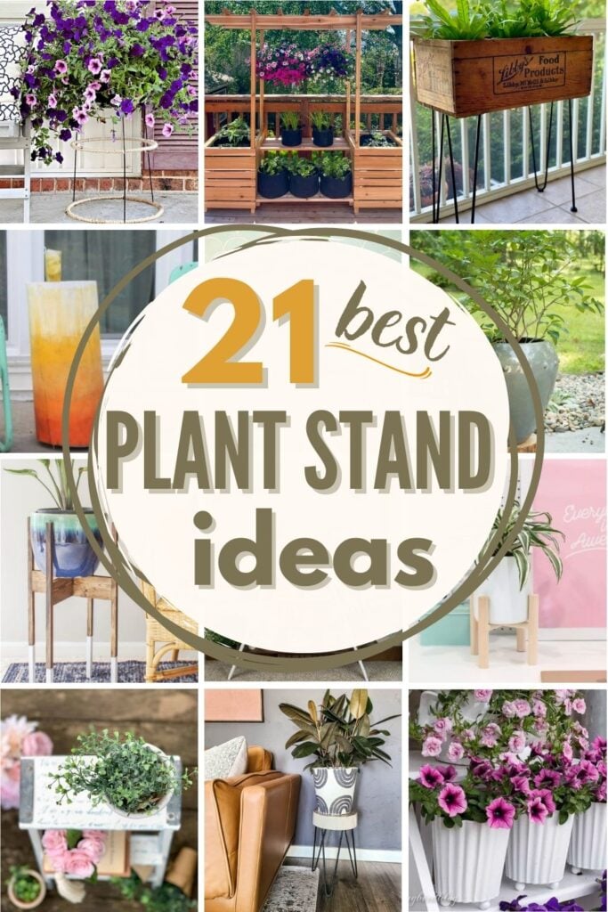 Best Nest Plant Stand Ideas for Your Home (Stylish and Simple)