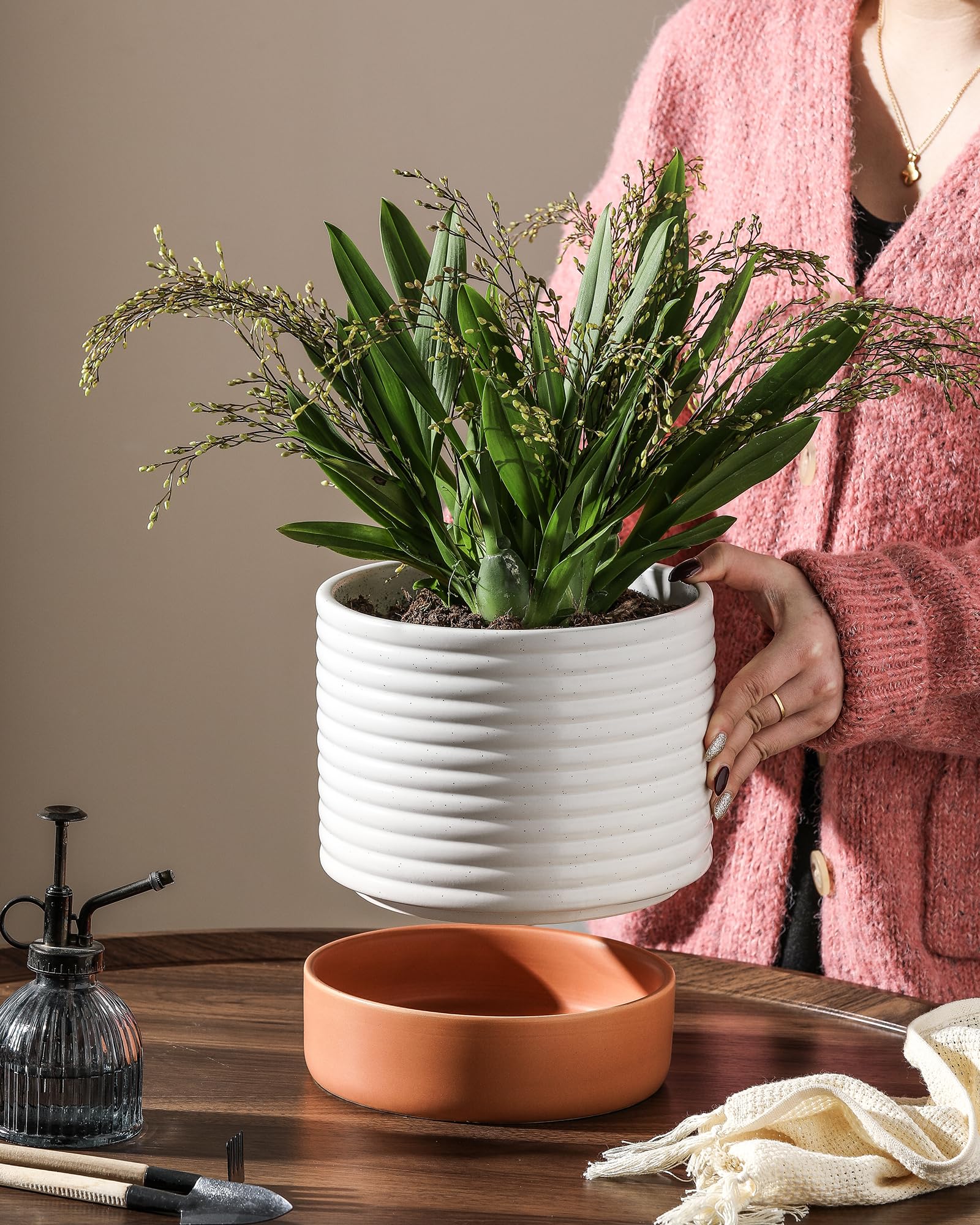 Where to Buy Self Watering Ceramic Planter: A Comprehensive Guide for Plant Lovers.