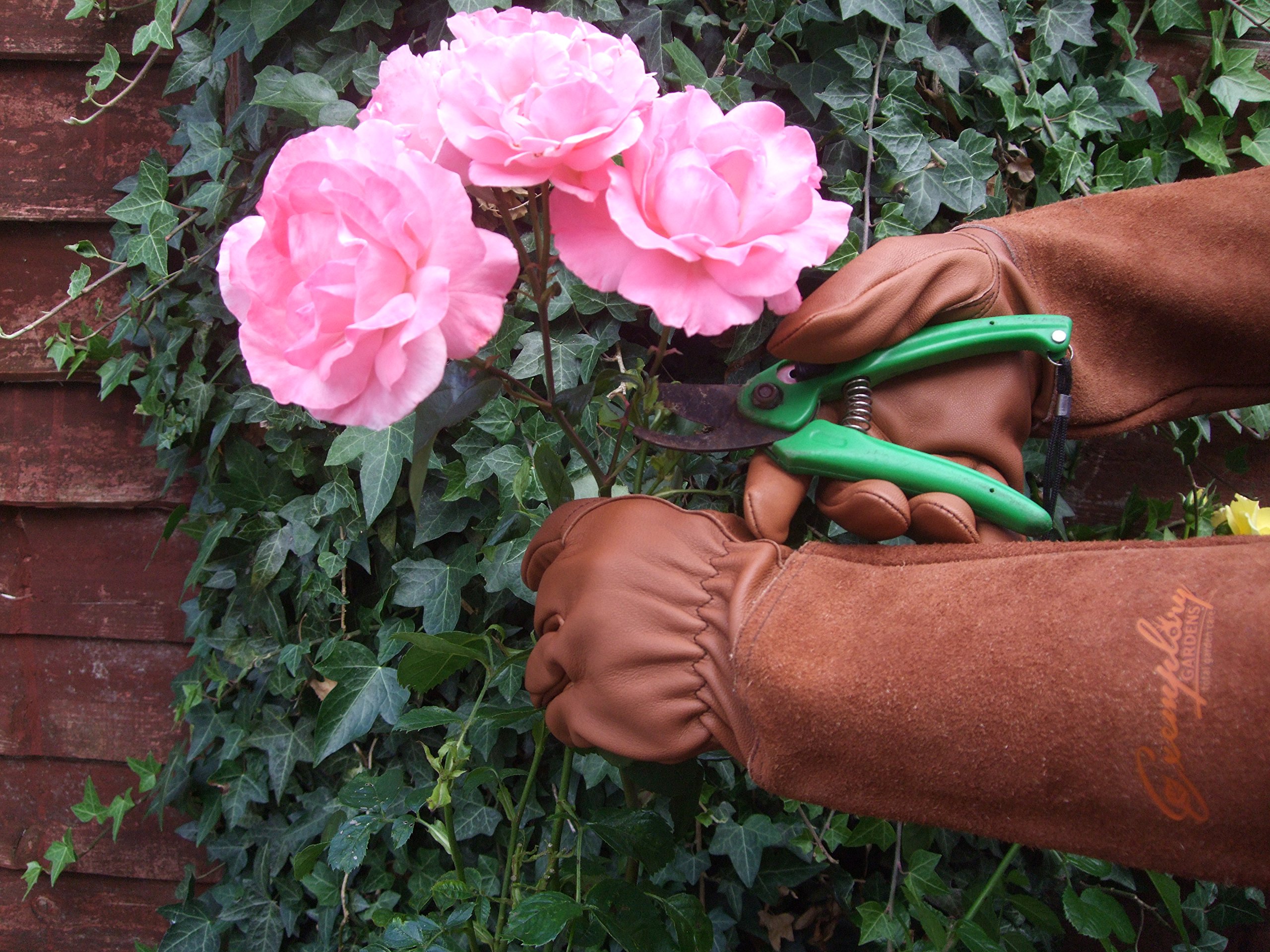 Rose Bush Gardening Gloves: Protect Your Hands in Style!
