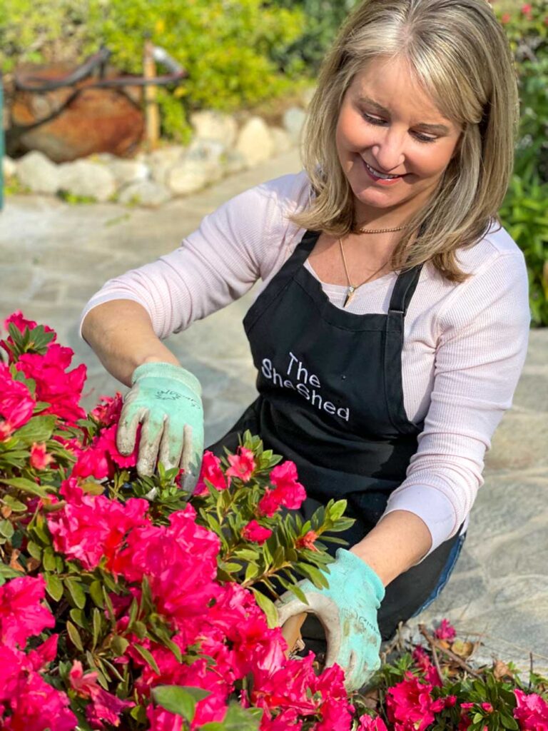 Cheap flower fertilizers: How to make your own at home? (Save money and get better blooms with this method)