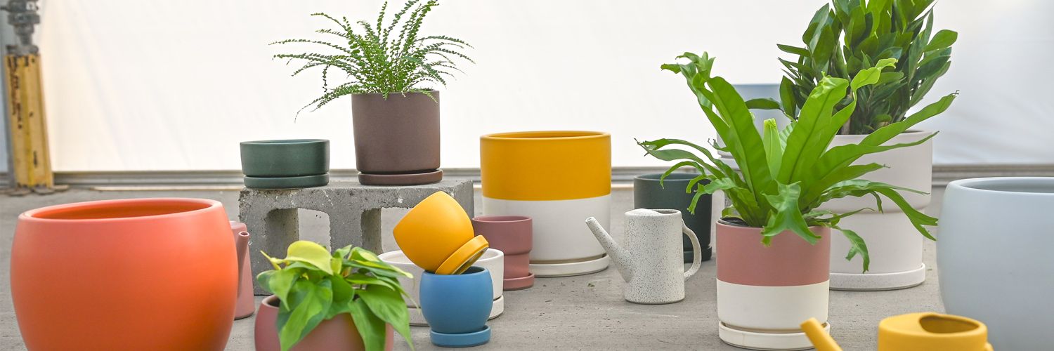 What is the best flowerpot with saucer? Find out the perfect one for your plants today!