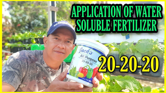 Using Water Soluble Fertilizer 20-20-20: How to Mix, Apply and Get Amazing Growth for Your Plants.