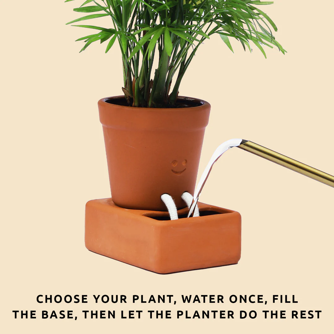 How to Use a Self-Care Planter? Simple Steps For Beginners to Get Started.