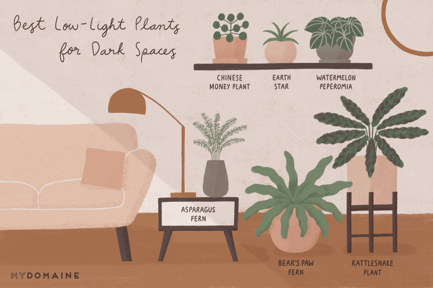 What does low light mean for plants? Simple tips to help your plants grow in low light conditions!
