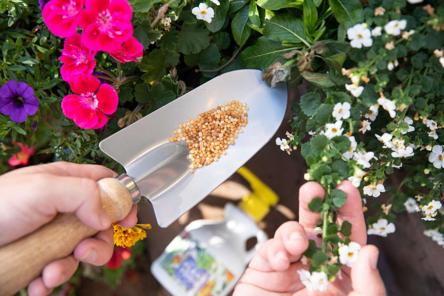 Fruit and Flower Fertilizer: Which Type is Right for Your Garden Needs?