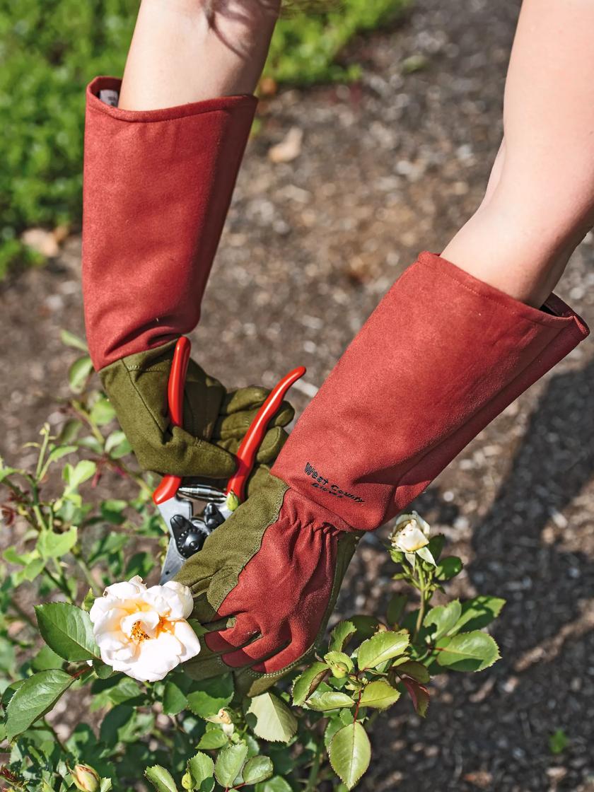 Rose Bush Gardening Gloves: Protect Your Hands in Style!