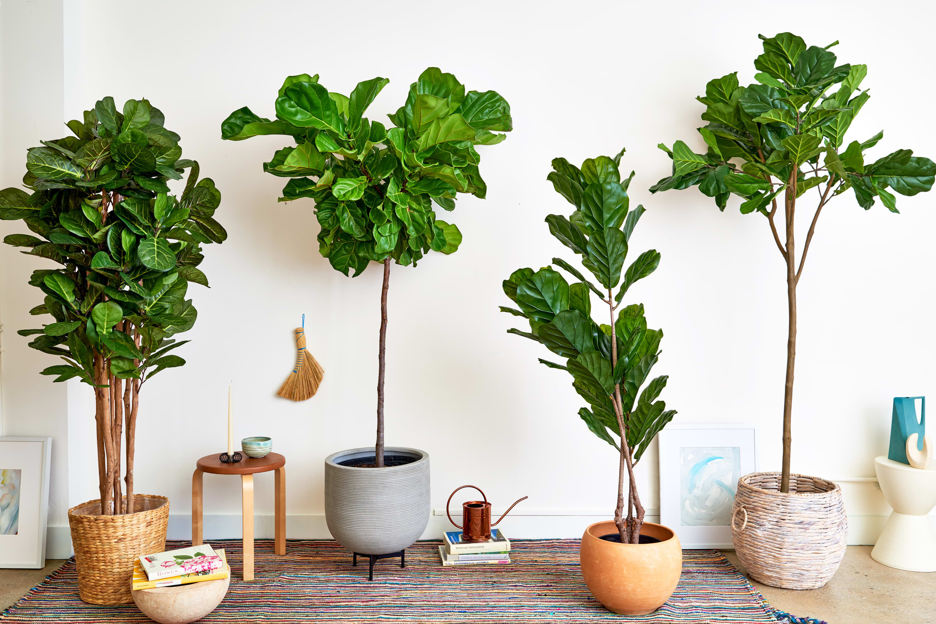 Affordable Flowerpot Green Choices: Where to Find Cheap Green Flowerpot Deals