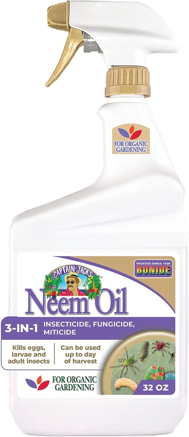 Chrysanthemum Oil Insecticide: How to Use It and Does It Really Work