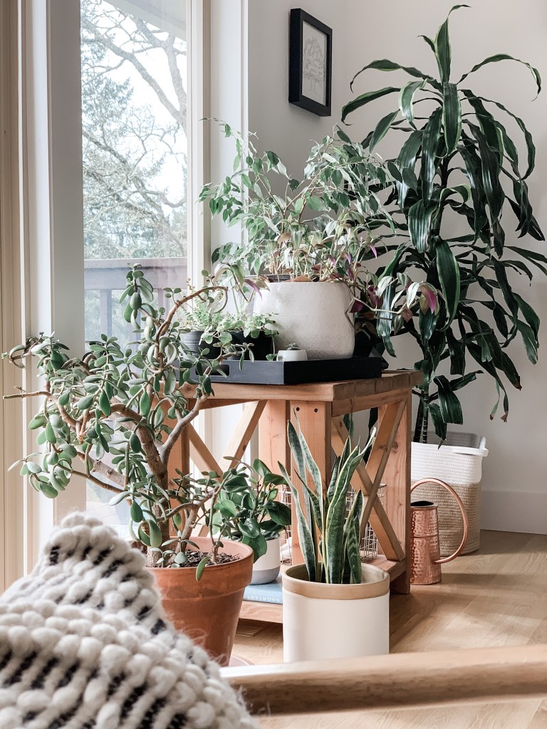How to Style a Flowerpot Lamp? (Get Inspired with These Easy Decorating Ideas!)
