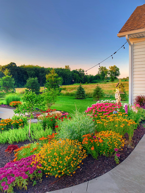Stop Flowers Turning Yellow: Easy Steps to Keep Your Garden Bright and Colorful!