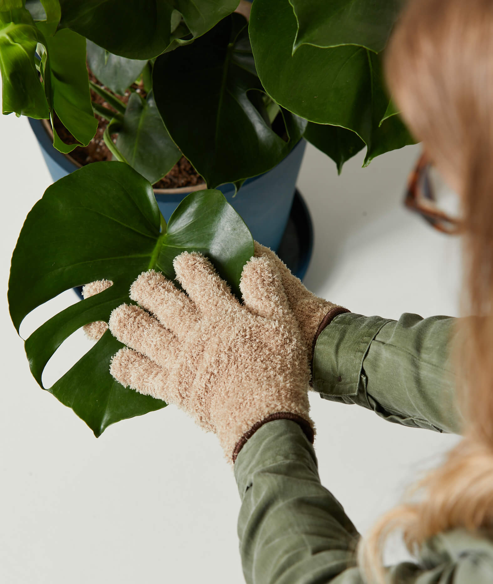 Plant dusting gloves: What are they and where to get them?