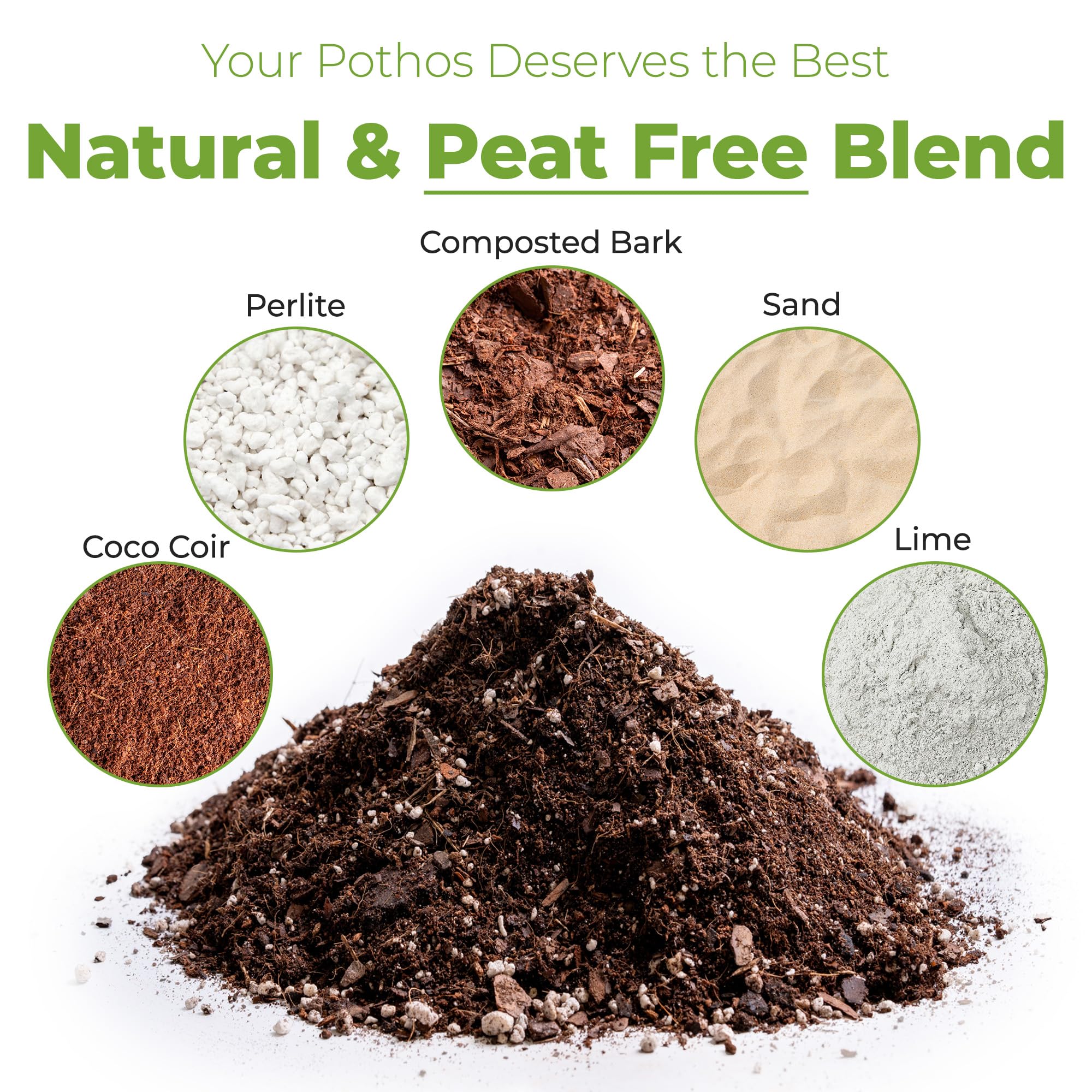 Choosing the Right Soil Mixture for Pothos (Simple Breakdown)