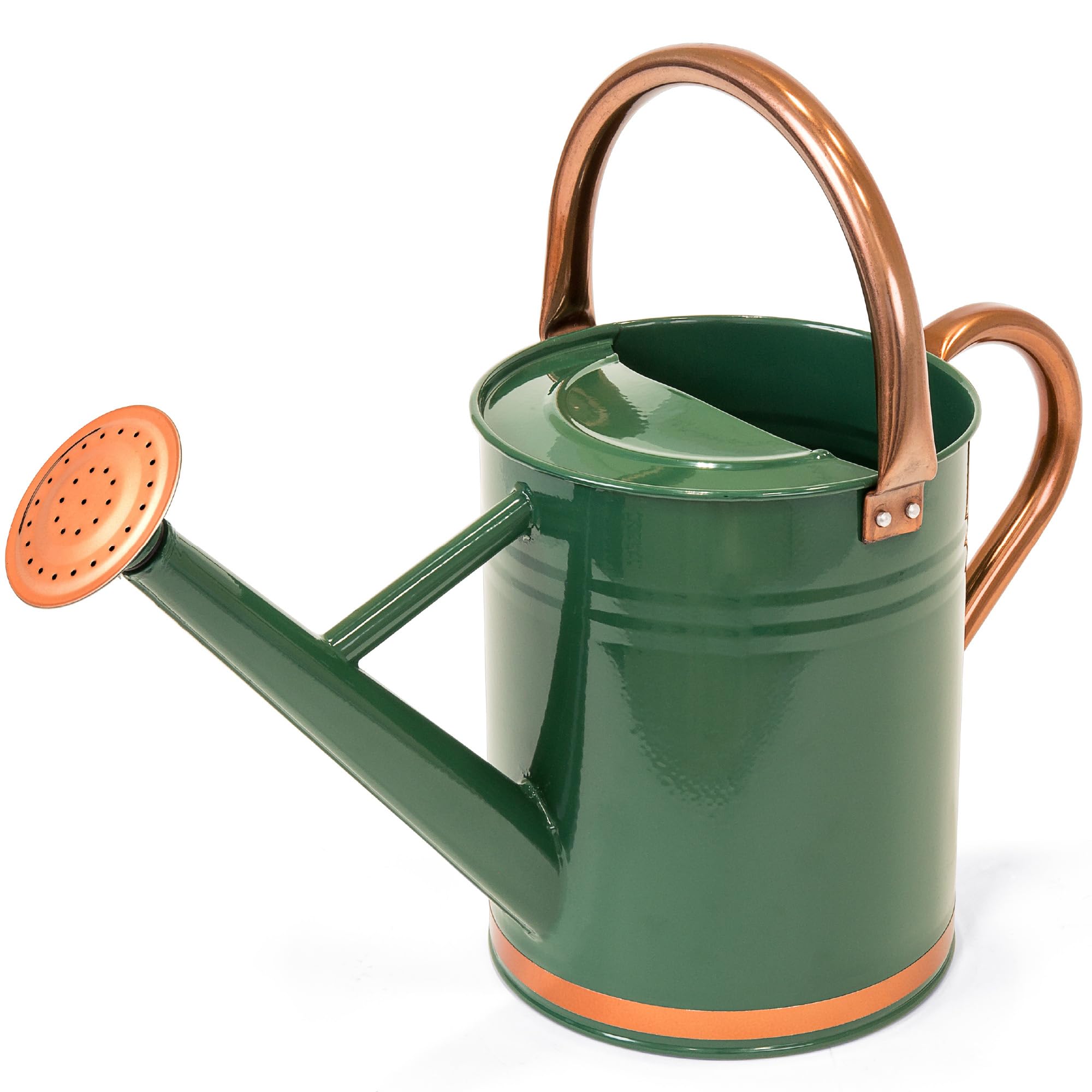 Need a 1 Gallon Watering Can Metal? Heres How to Pick a Good One!