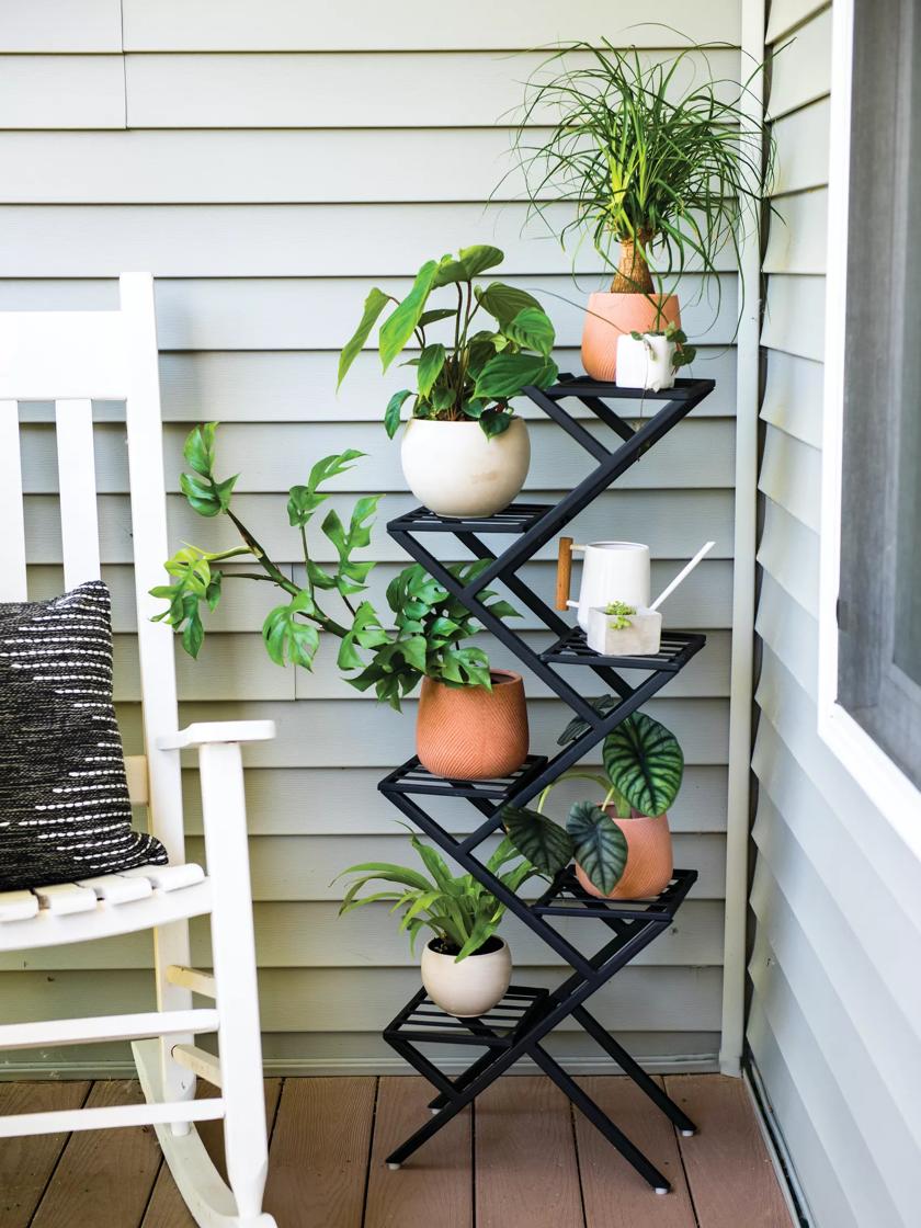 Raised Plant Stands Ideas: Simple Tips to Elevate Your Indoor Garden!
