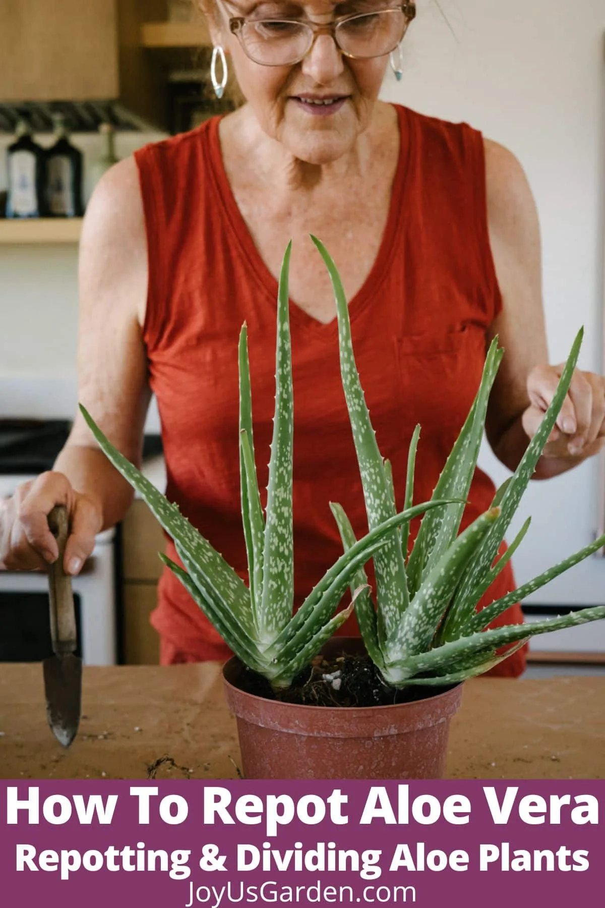 Aloe Repotting: When and How to Repot (Easy Tips for Beginners!)