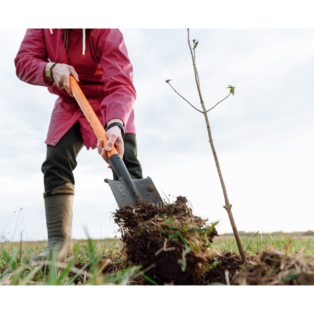 Gardening Shovel Spade: How to Use Them Correctly? (Handy Tips for Easy Digging)