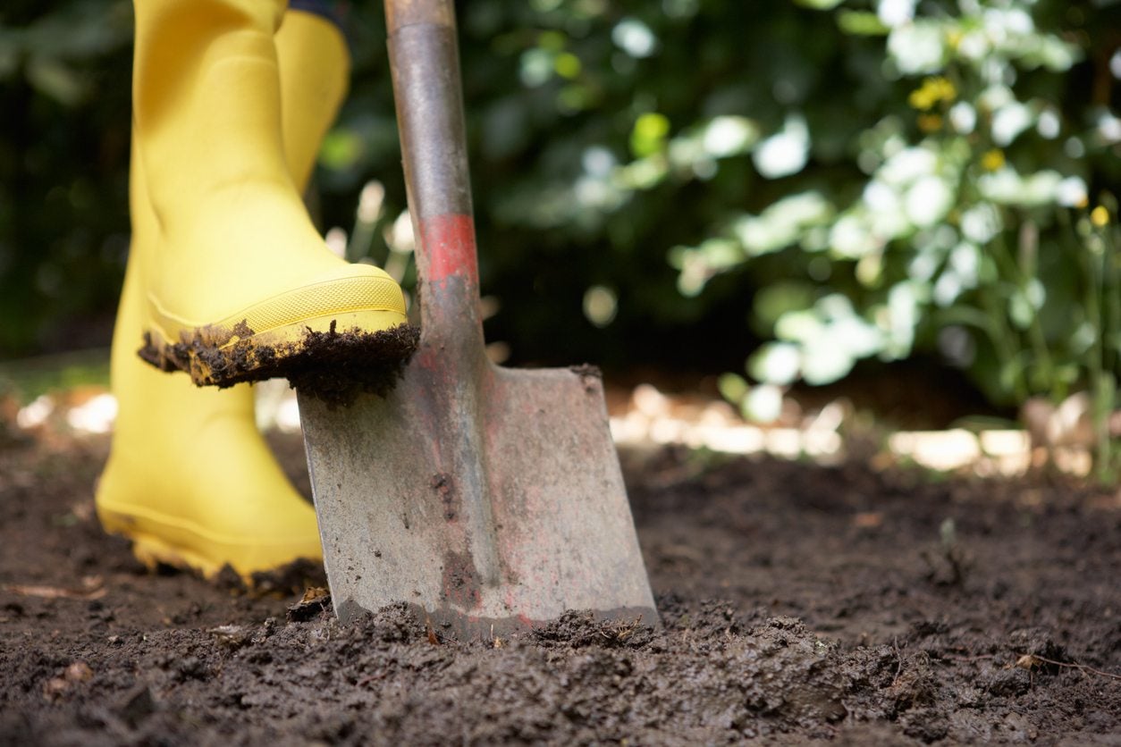 Whats a point shovel used for? Heres the lowdown on this handy gardening tool!