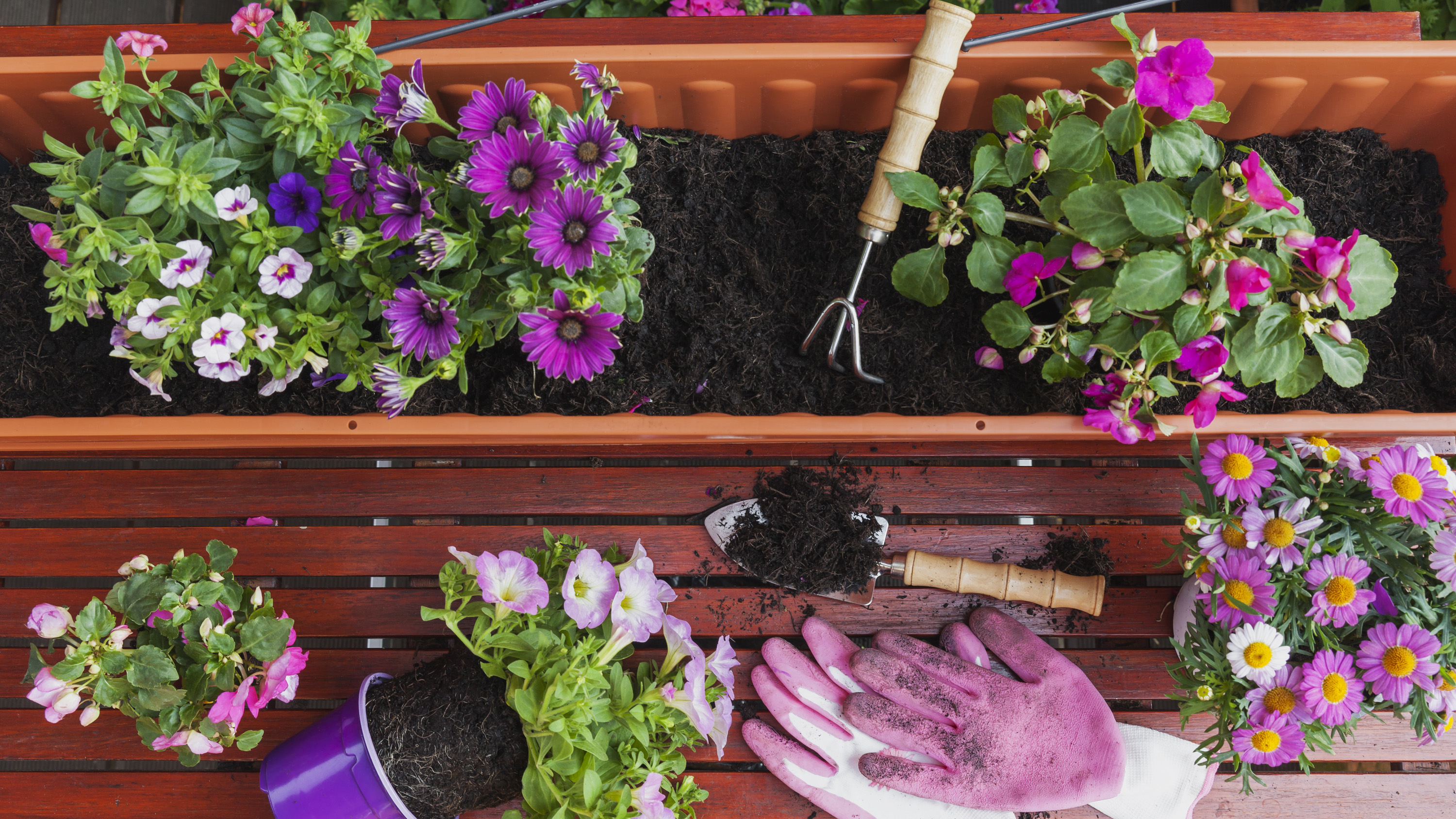 Best Potting Soil for Window Boxes: Top Picks for Thriving Plants!