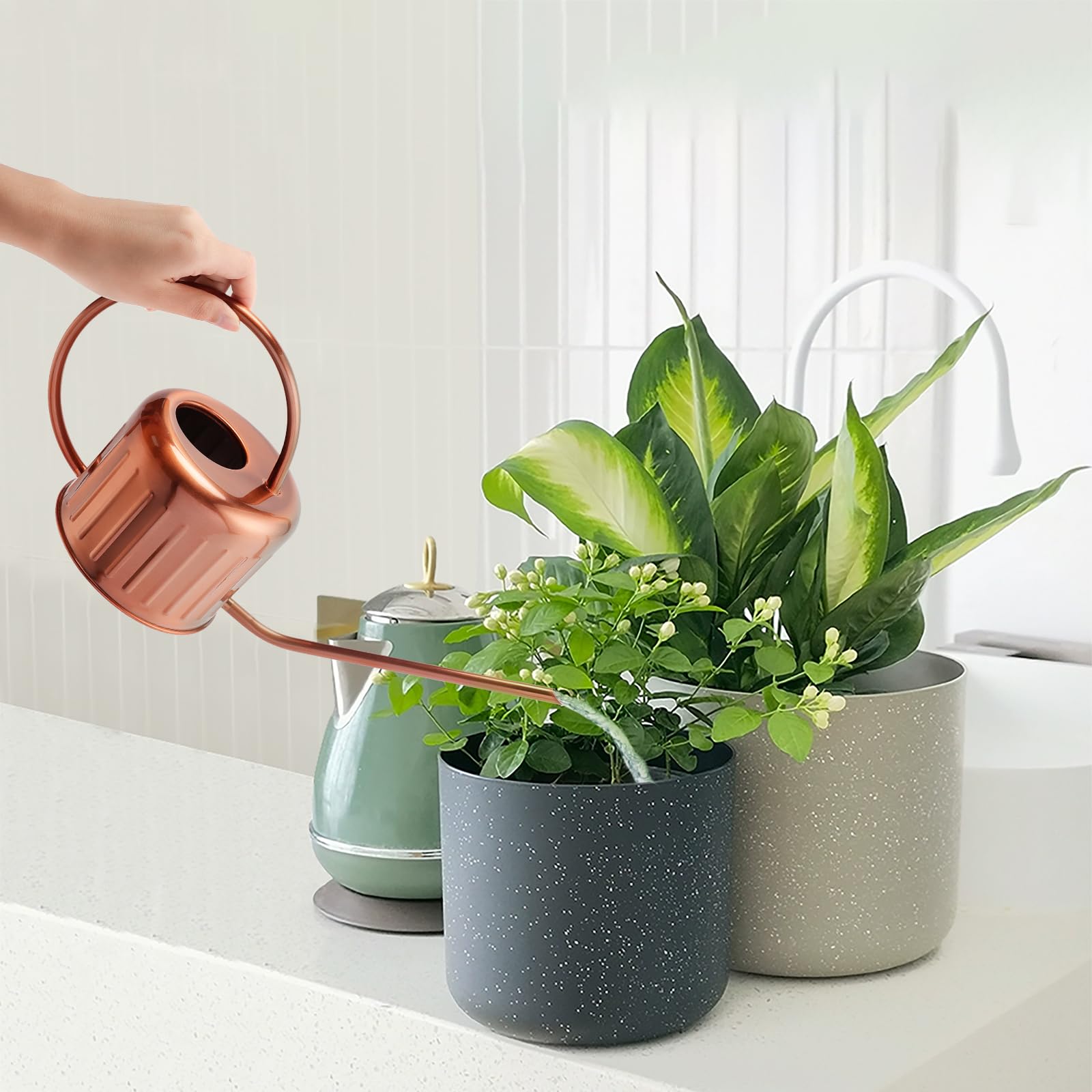 Indoor Plants Need Love? Get a Copper Watering Can!