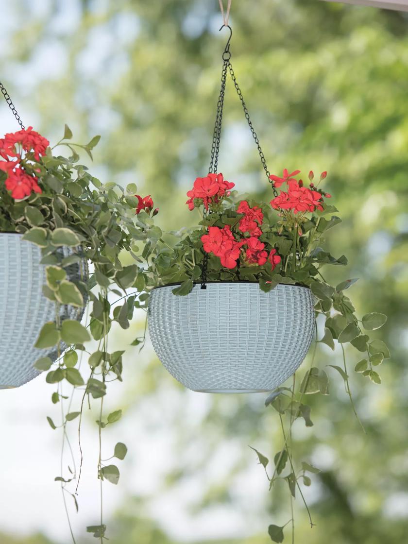Are Self Watering Hanging Baskets Worth It? (The Lazy Gardeners Dream)