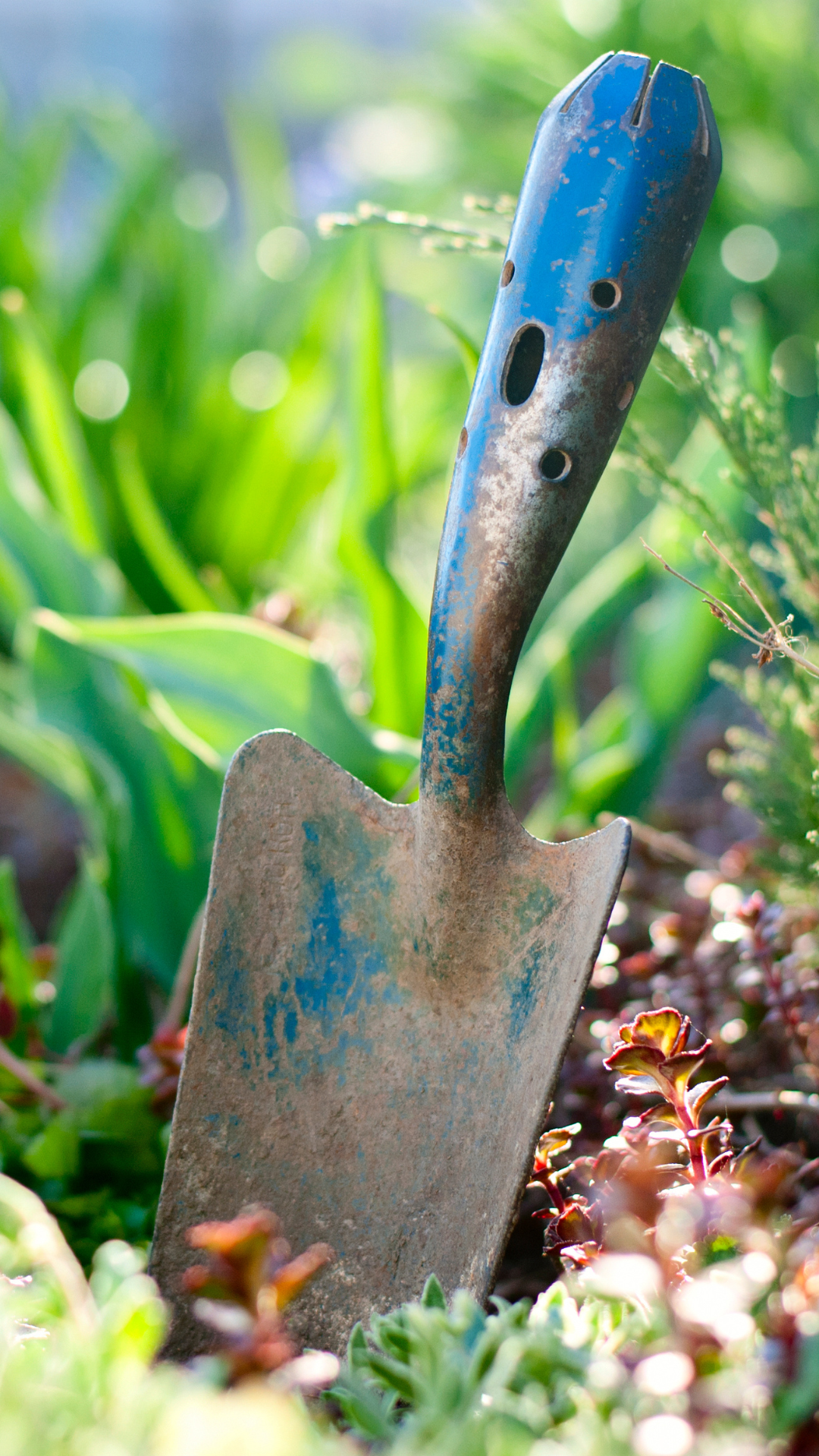 Shovel for Gardening: Essential Tips for Every Gardener