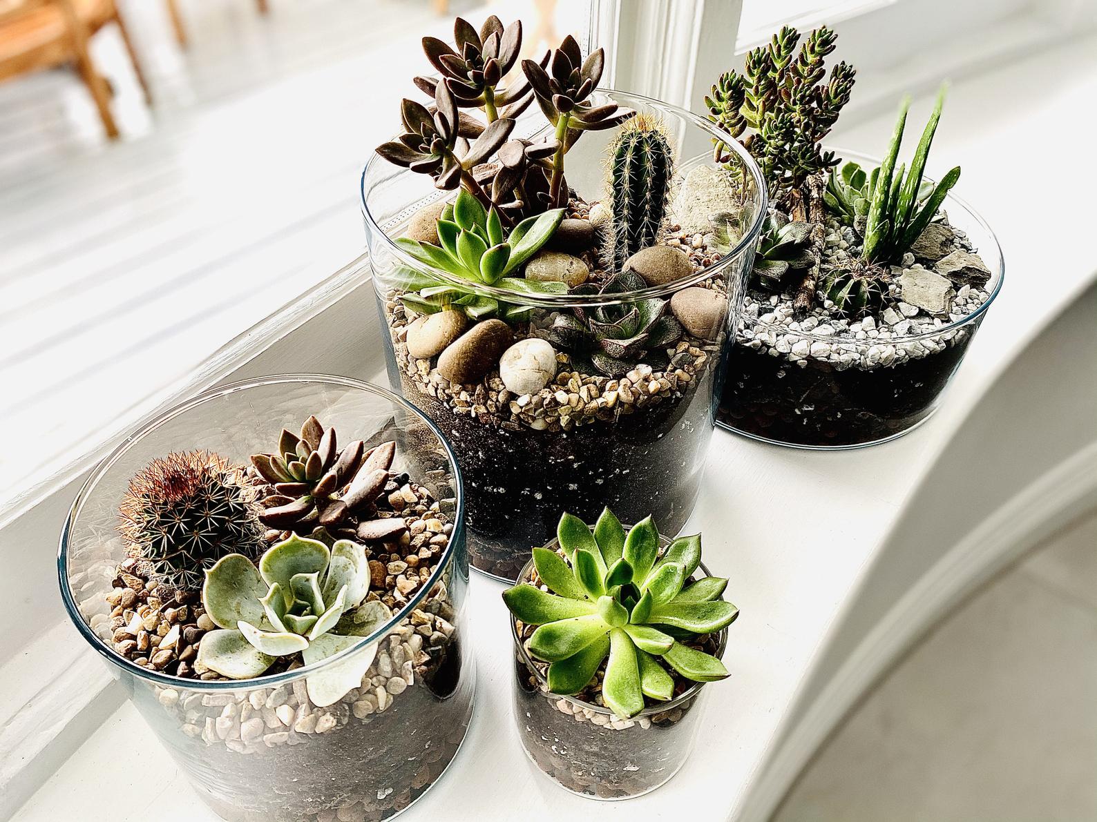 Flowerpot B1: Simple Tips & Ideas for Stunning Displays!