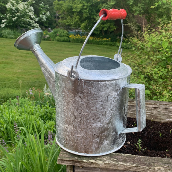 American Made Watering Can: Best Options & Where to Buy!