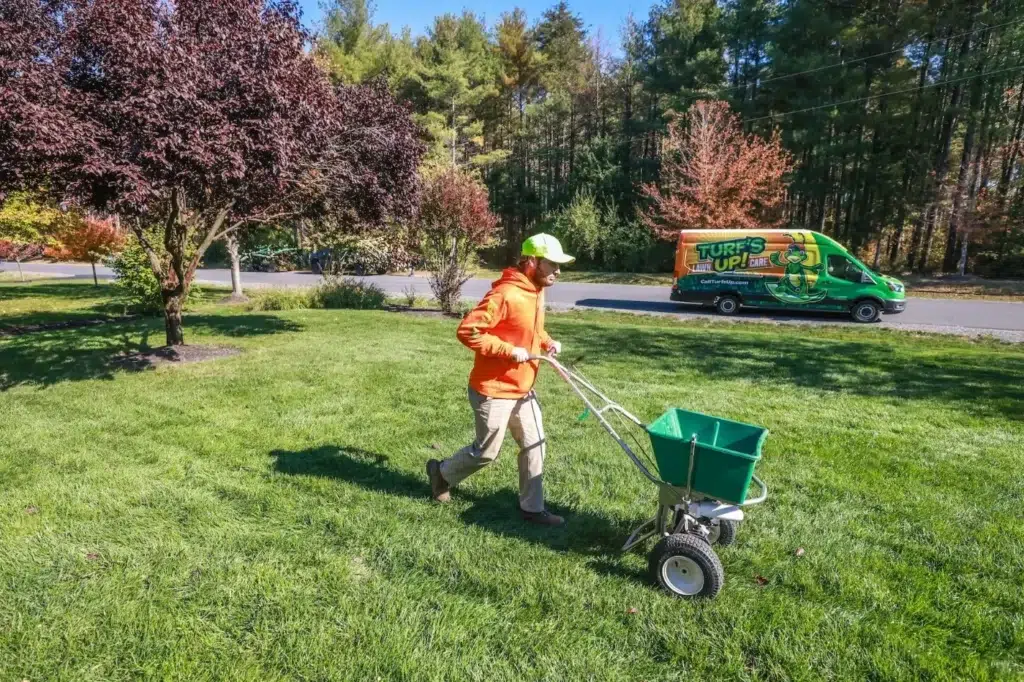 Should I Water My Grass After Fertilizing? (Expert Advice You Need to Know)