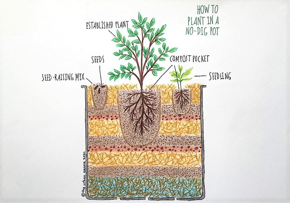 Do you put soil directly in planter? Best practices for healthy plant growth.