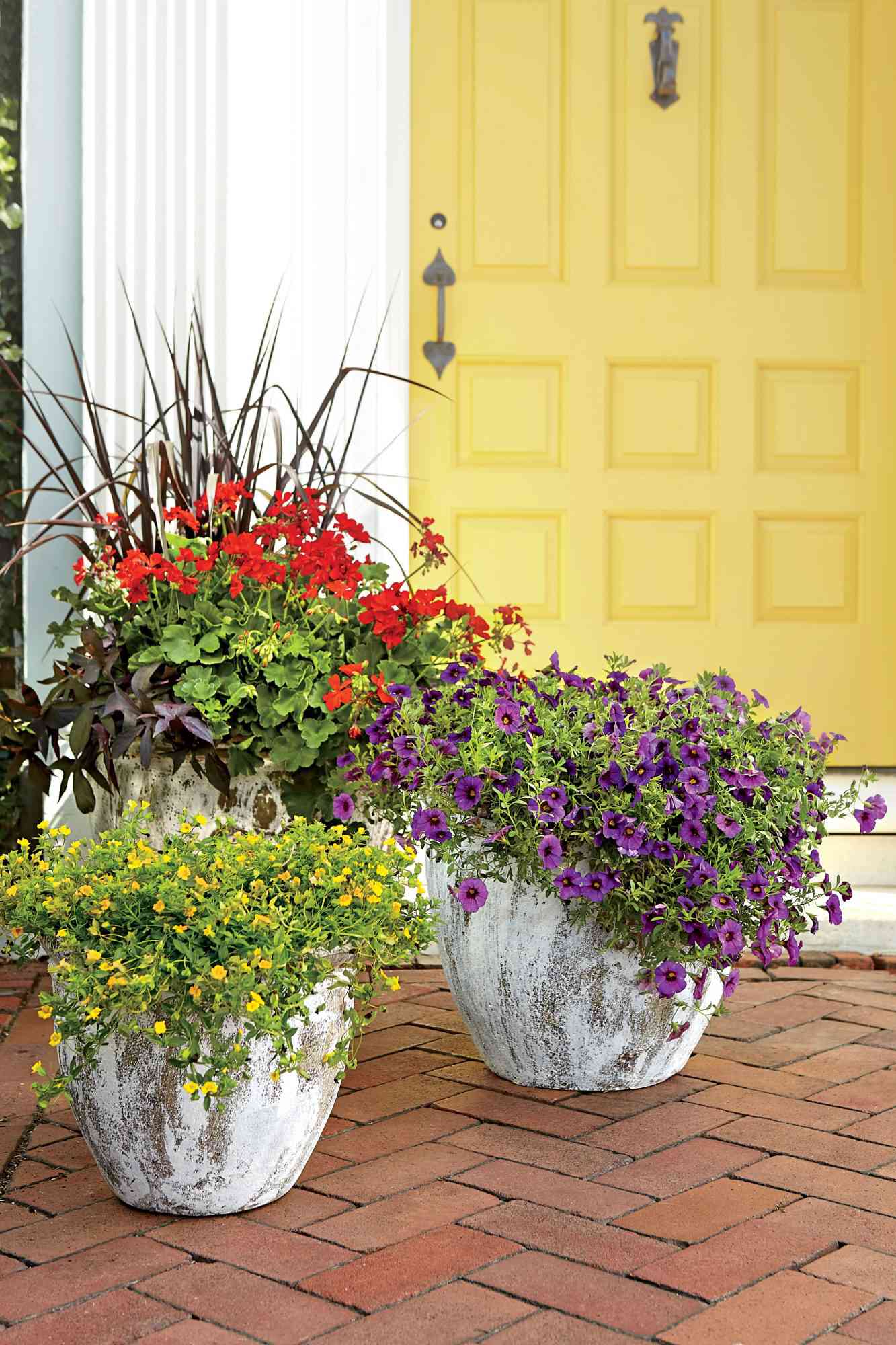 Texas Heat? Try These Low-Maintenance Outdoor Potted Plants!