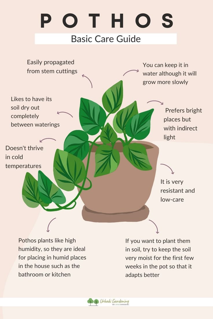 How to use carepot:Simple guide for beginners!