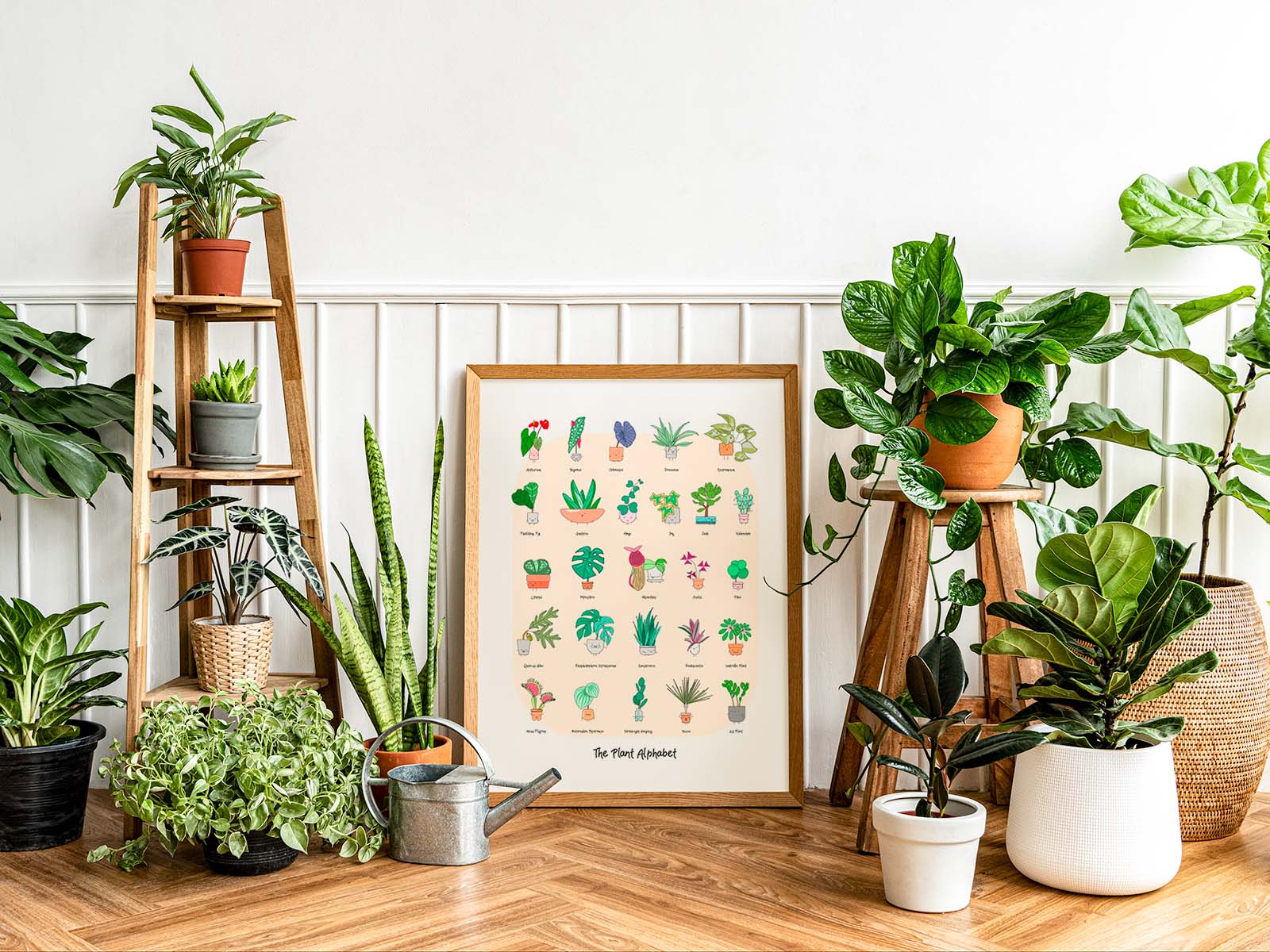 Unique Housewarming Gifts Plants Ideas to Brighten Their New Place!