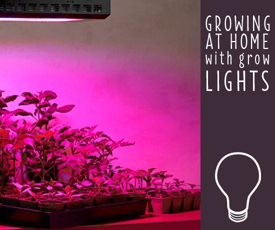Get More From Your Plants, Choosing best UV Grow Light Bulbs
