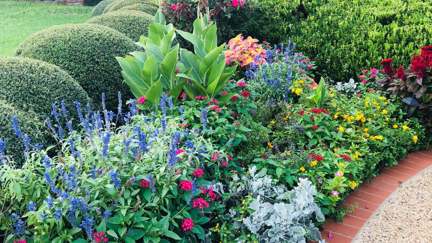 Texas Heat? Try These Low-Maintenance Outdoor Potted Plants!