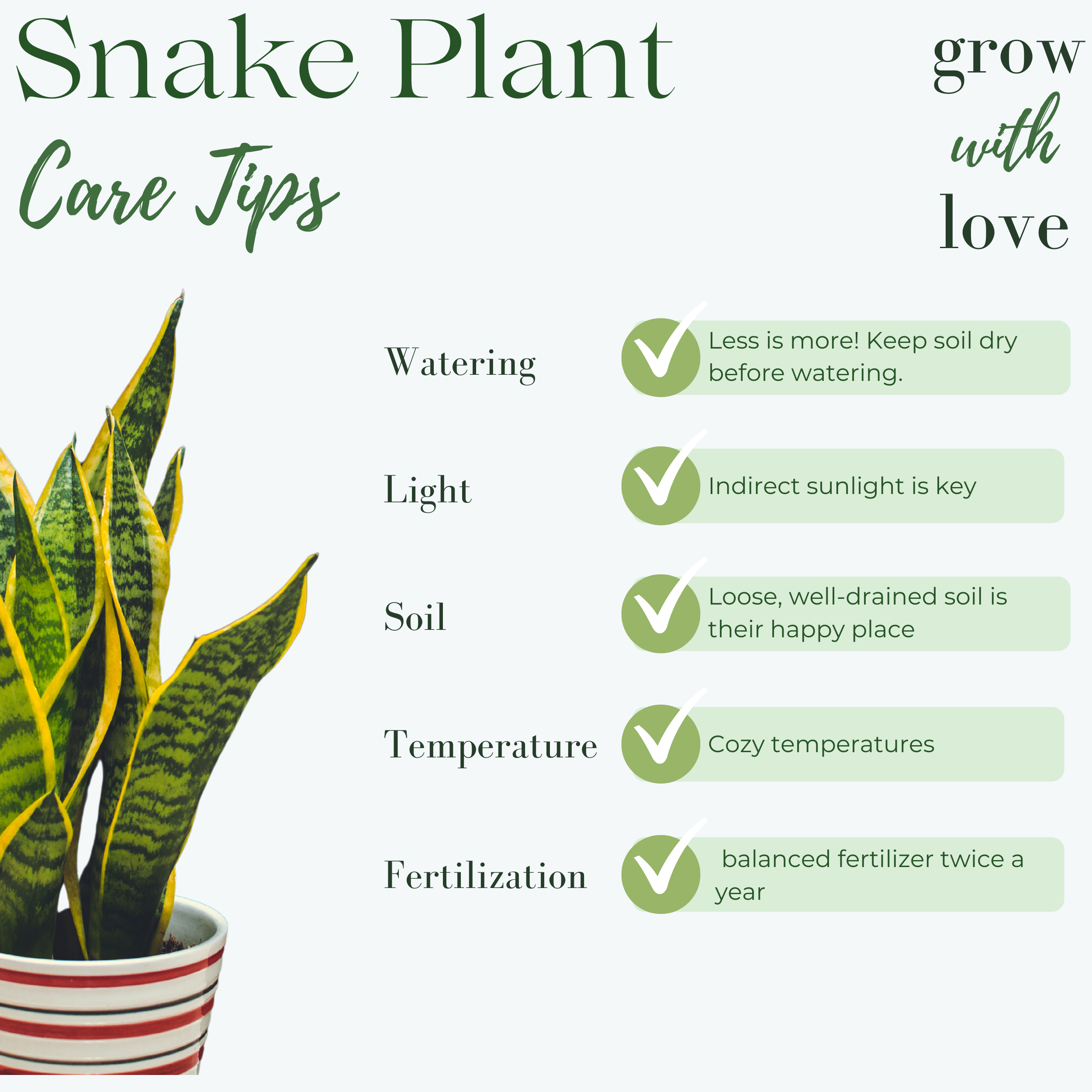 Stop Snake Plant Diseases: Prevention & Treatment Tips.