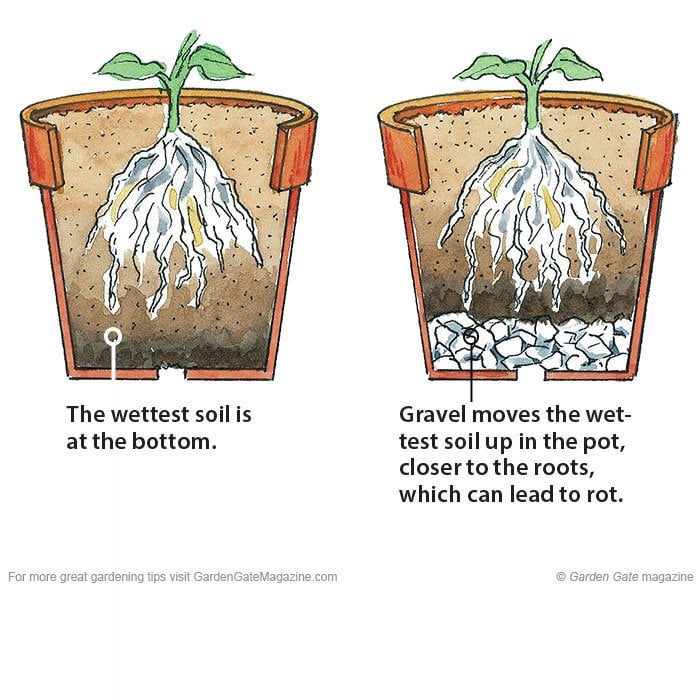 Do you put soil directly in planter? Find out the pros and cons for beginners.