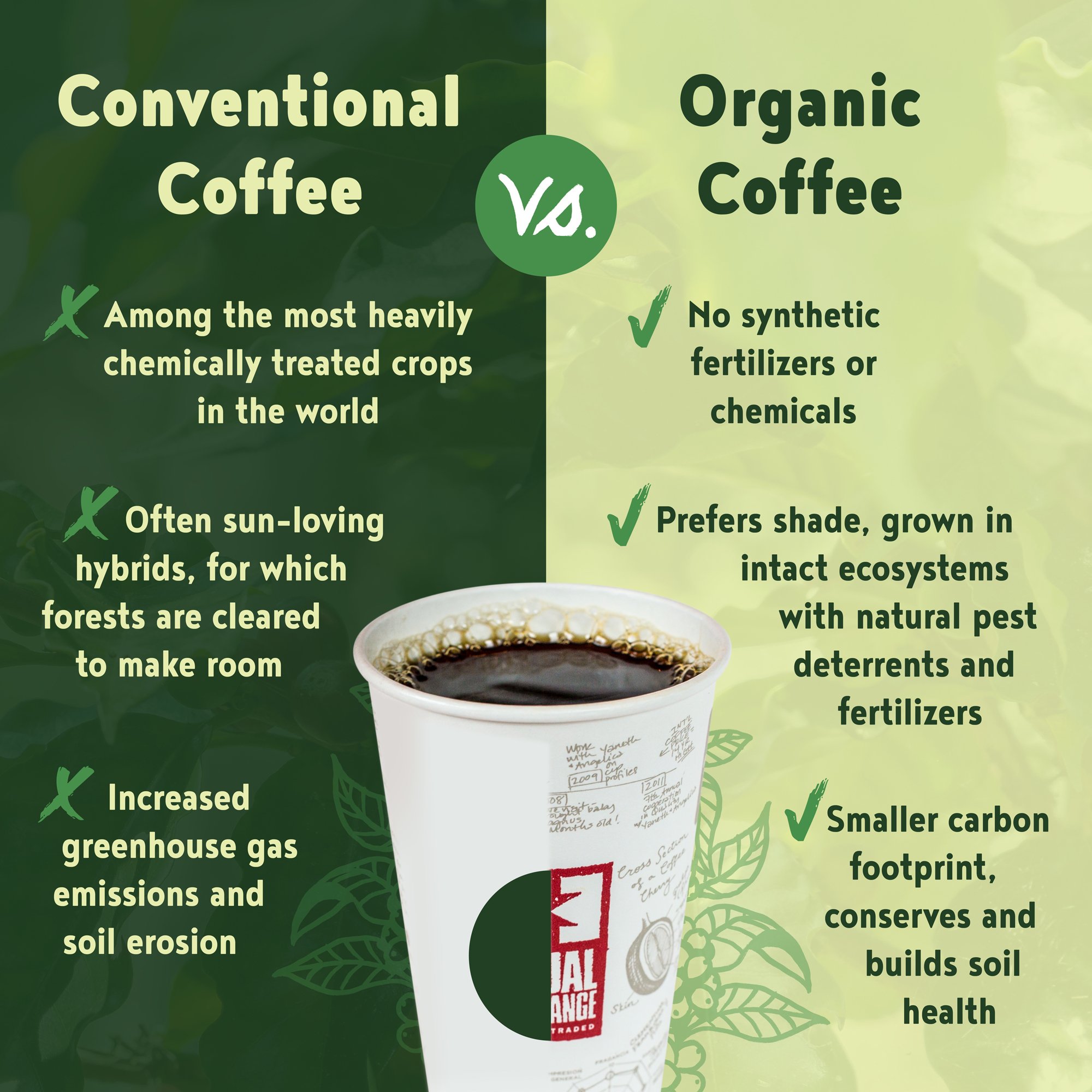 What pesticides are used on organic coffee? (Find out the surprising truth!)